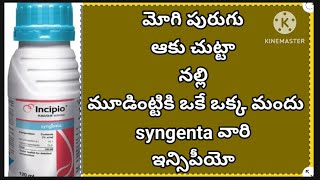 incipio syngenta insecticide  ఇన్సిపీయో సింజెంటా పురుగుమందు [upl. by Ekeiram742]