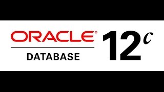 Solve the Error in invoking target all no orcl of makefile in Oracle DB 12c in Ubuntu 15041404 [upl. by Aisital]