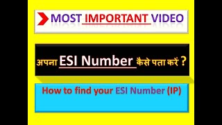 अपना ESI नंबर कैसे पता करें  How to find ESI Number online on ESIC portal  Search your ESI number [upl. by Enileuqaj]