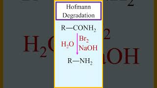 Hofmann degradation or Hofmann rearrangement amide to amine chemistry [upl. by Saalocin]