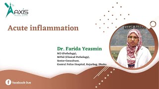 Acute inflammation [upl. by Hazmah]