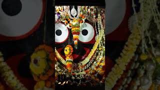 Chaka nayana he chaka nayanaytshortsshortsong odia jagannathbhajana [upl. by Cheston372]