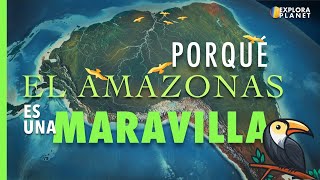 Porque es Importante El Amazonas [upl. by Aderf778]