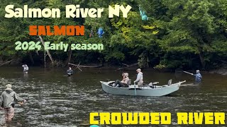 Early salmon season 2024 Salmon River New York CROWDED river [upl. by Ahseena439]