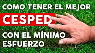 6 Consejos para mantener un césped saludable AHORRANDO tiempo y dinero [upl. by Laamak633]