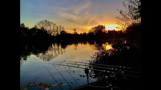 Yateley Pads Lake A Welsh Winklers Tale Carp Fishing [upl. by Etti715]