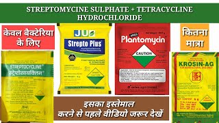 स्ट्रेप्टॉइक्लीनplantomycin का इस्तेमाल करने से पहले वीडियो जरूर देखें।STREPTOMYCINE SULPHATE। [upl. by Ignacia]