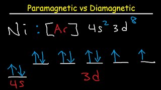 Paramagnetic vs Diamagnetic  Paired vs Unpaired Electrons  Electron Configuration [upl. by Hgielrac551]