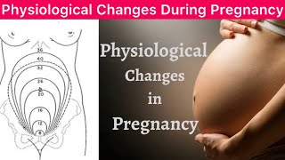 Physiological Changes During Pregnancy  Physiological Changes in Pregnancy  Changes in Pregnancy [upl. by Akemed]