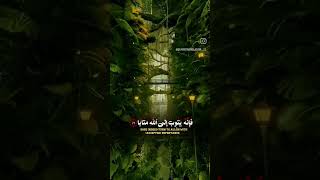 quranquran kareemquran karemquran karimquran recitationquran alquran pleasessupportyoutube [upl. by O'Gowan]