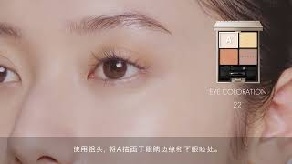 ルナソル LUNASOL EYE COLORATION 22 How To Use CH [upl. by Tilden]