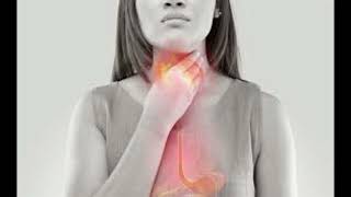 Visceral Osteopathic Treatment of the Esophagus for Acid Reflux Part 2 Visceral Osteopathy Series [upl. by Fidellas]