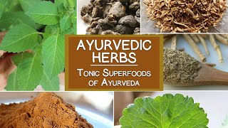 Ayurvedic Herbs The Tonic Superfoods of Ayurveda [upl. by Sonitnatsnok]