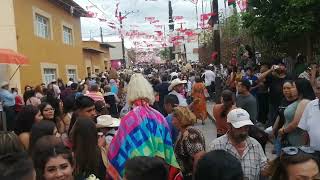 fiesta de moyahua Zacatecas 2023 [upl. by Lamrert]