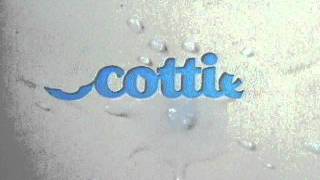 Scotties TV Commercial 1980sTV Commercial [upl. by Schach]