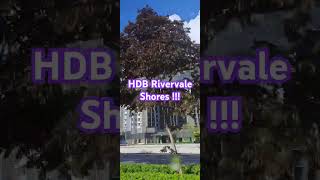 HDB Rivervale Shores [upl. by Blodget242]