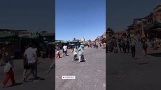 Cobras na rua do Marrocos Marrakesh [upl. by Frere971]