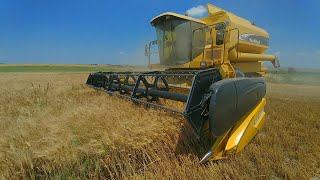 New Holland TX 66 Wheat Harvest [upl. by Christin]