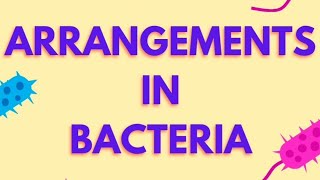 ARRANGEMENTS IN BACTERIA [upl. by Eelydnarb167]