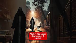 Allahın Köpekleri Sevmesinin 3 Nedeni hayalhanem sözlerköşkü dinivideolar islam dua amin [upl. by Nareht]