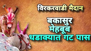 बकासुर मेहबूब गट 3 धडाक्यात गट पास bakasur bailgadisharyat p3 bakasursharyat [upl. by Dougald655]