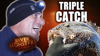 Triple Catch Special  Grouper Tigerfish amp Black Jack  River Monsters [upl. by Christiano]