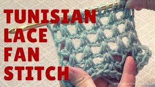 Tunisian Lace Fan Stitch  Free Crochet Pattern [upl. by Huba]