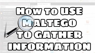 How To Use Maltego on Kali Linux 2020   Information Gathering [upl. by Aratihc]