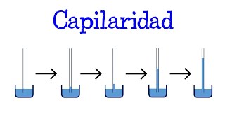 💧 ¿Qué es la Capilaridad 💦 EJEMPLOS 💧 Fácil y Rápido  FÍSICA   QUÍMICA [upl. by Haibot]