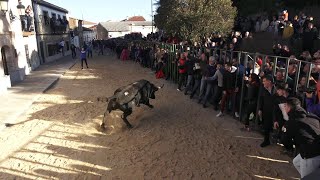 Horcajo de las Torres Ávila Fiestas Toro de San Julián 6 Enero 2024 [upl. by Dominica957]