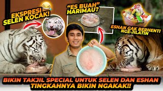 BIKIN TAKJIL UNTUK HARIMAU  TERBUAT DARI APA YA  SELEN ESHAN SAMPE GA BERHENTI JILATIN TERUS [upl. by Lorin]