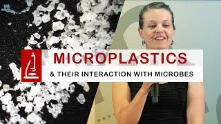 Microplastics in the Water and their Interaction with Microbes [upl. by Levon46]