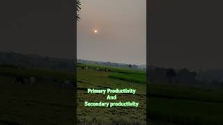 PRIMARY amp SECONDRY PRODUCTIVITY । fact in hindi ।Bio fact in hindi। thebiologysquad4054ytshorts [upl. by Idaline]