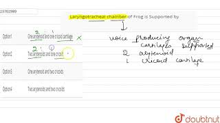 Laryngotracheal chamber of Frog is Supported by [upl. by Tremain]