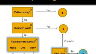 emergency department triage [upl. by Elisabetta]