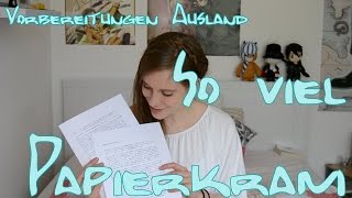 So viel Papierkram  Essay  Visum  Reisepass  Japan Vorbereitungen 3 [upl. by Annalise]