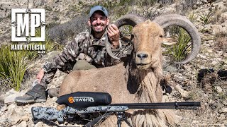 TX Aoudad Hunt Sheep Week 2022  Mark Peterson Hunting [upl. by Glynn362]