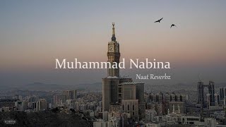 Muhammad Nabina  Naat Reverbz Slowed  Reverb [upl. by Stoffel881]