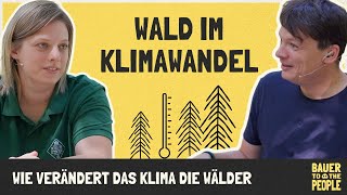 Interview  Wald und Klimawandel [upl. by Jeniffer]