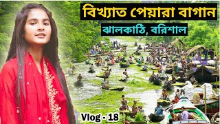 Peyara bagan  পেয়ারা বাগান  ভাসমান পেয়ারার বাজার  peyara bazar barisal  Barisal Vlog  jhalokati [upl. by Woodruff306]