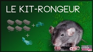 Comment tuer les rats et les rongeurs des champs [upl. by Nilok]