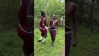 dance masai masaimara africa sasai sasinesokoi [upl. by Iphagenia994]