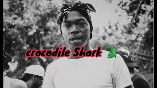 Skillibeng  Crocodile Shark Official Lyrics Video [upl. by Evvie492]