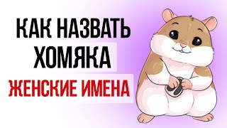 Как назвать хомяка девочку [upl. by Kafka]