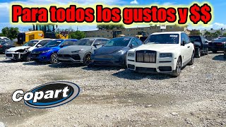 Super subasta de carros en USA Copart [upl. by Trisa]