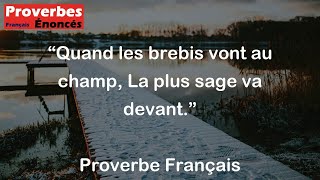 Quand les brebis vont au champ La plus sage va devant  Proverbe Français [upl. by Lepp]