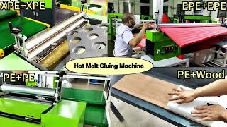 Hot Melt Gluing Machine for PE EPE XLPE XPE EVA Foam Cardboard Protective Packaging [upl. by Nairred]