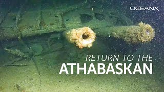 Rediscovering a Historic WWII Shipwreck [upl. by Aneehsirk971]