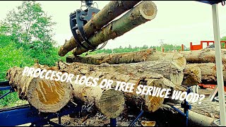 Tree Service Wood VS Processor Logs Thoughts amp Bundling Wood [upl. by Anayt]