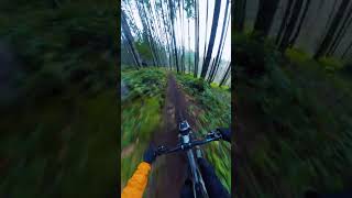 EPIC Downhill Bike MOMENTS [upl. by Zobias377]